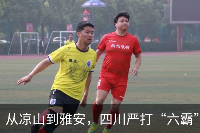 从凉山到雅安，四川严打“六霸”一锅端：打掉112个，559起刑案告破