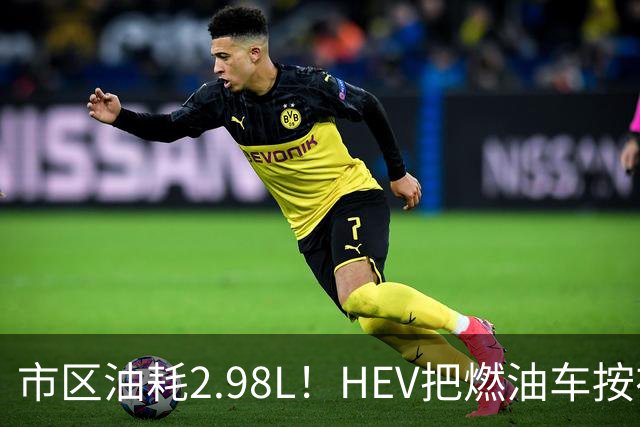 市区油耗2.98L！HEV把燃油车按在地上摩擦，这笔账你算过吗？