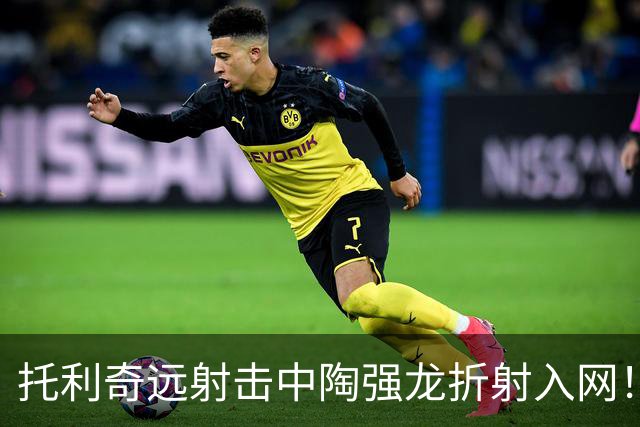 托利奇远射击中陶强龙折射入网！浙江1-1扳平铁人
