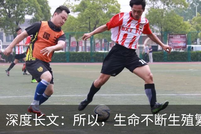深度长文：所以，生命不断生殖繁衍的意义，到底是什么？
