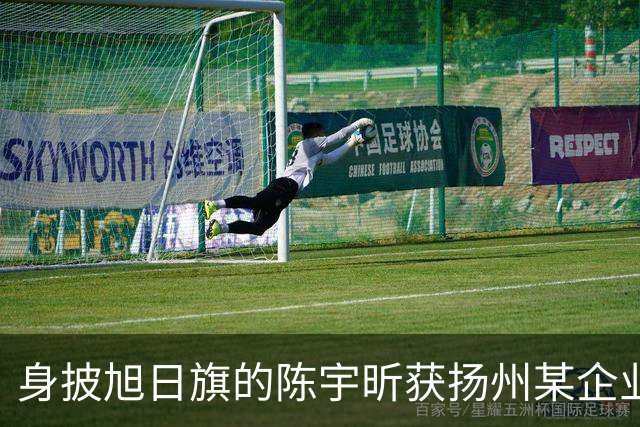 身披旭日旗的陈宇昕获扬州某企业支持，汤家凤发文怒批：必须严惩，露头就打